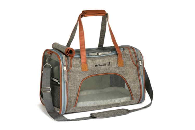7 Popular Pet Carriers For Traveling With Your Dog