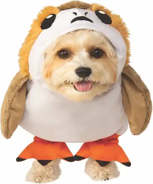 30+ Perfect Halloween Costumes for Small Dogs