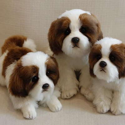 Shih tzu best sale themed gifts