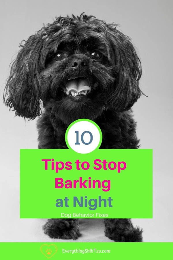 what makes dogs bark at night